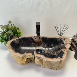 Раковина из окаменелого дерева Fossil Basin OD-02999 63x38x15 см