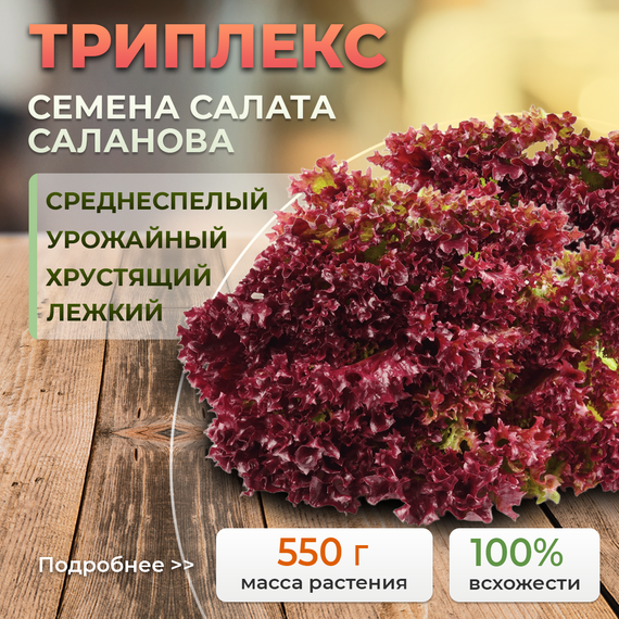 ТРИПЛЕКС семена салата (Rijk Zwaan | Alexagro) – фото 1