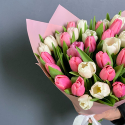 Тюльпаны Микс в упаковке