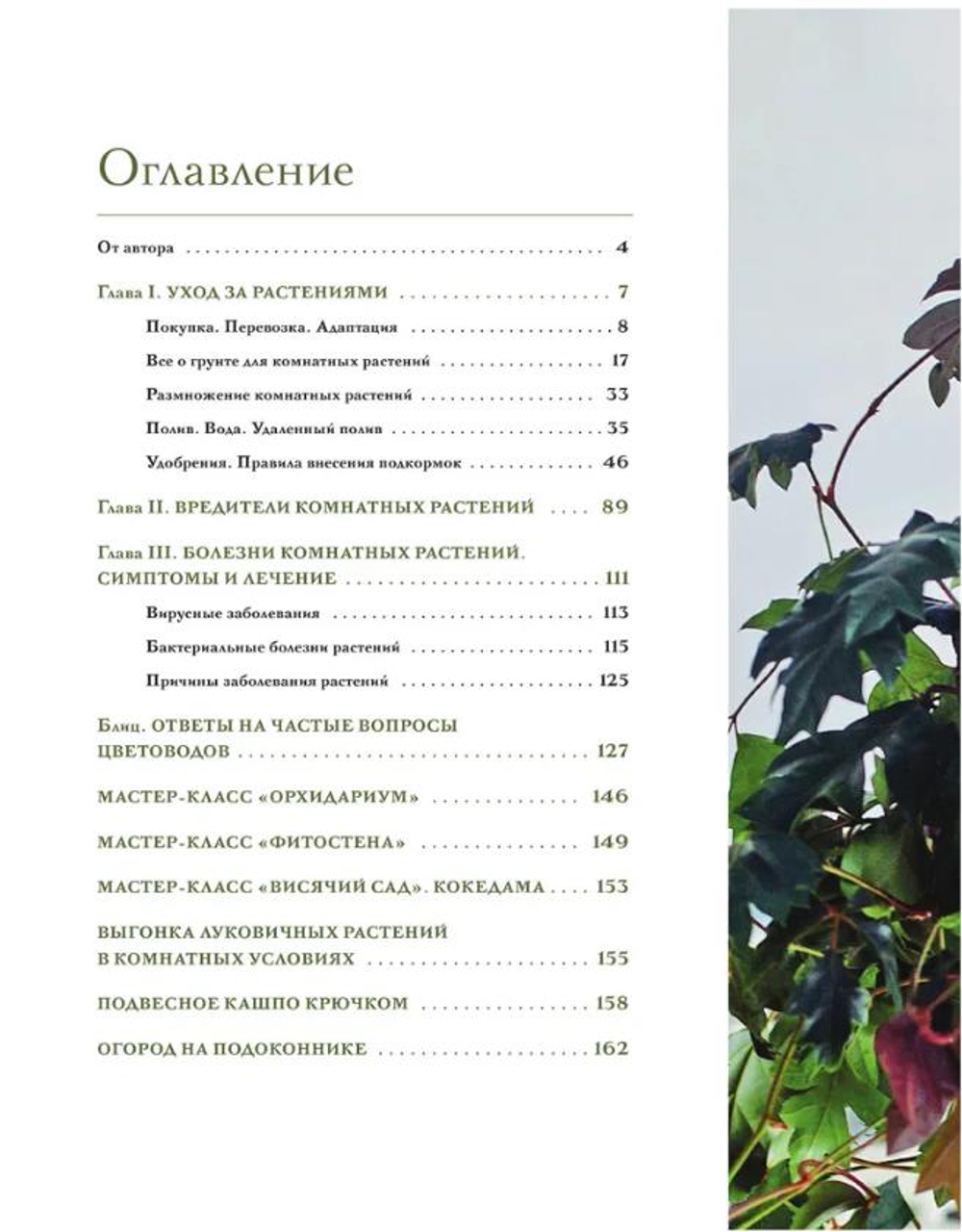 Цветок в горшке. Как посадить комнатные растения и не сесть в лужу