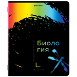 Тетради предметные комплект 12 ПРЕДМЕТОВ 48 л. матовая ламинация лак BRAUBERG "BRIGHT COLOURS" (2 штуки в упаковке)