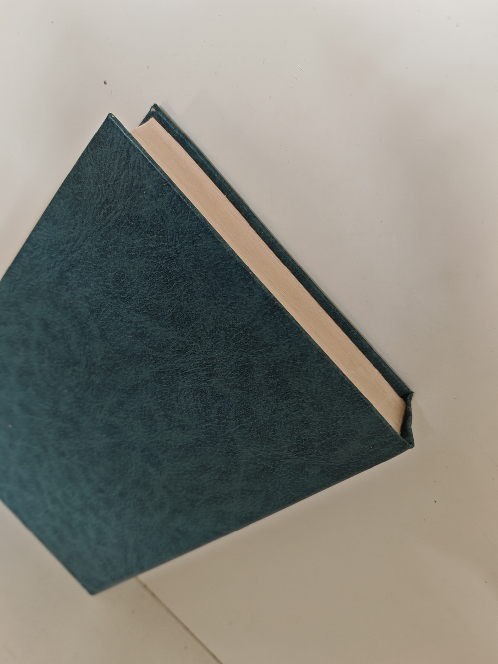 Бес в ребро. На тёмной стороне луны