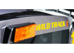 Квадроцикл MOTOLAND 200 WILD TRACK X PRO