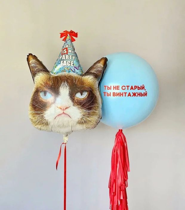 Воздушные шары №4042