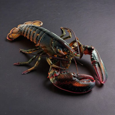 Лобстер (омар) сыромороженый, ~0,9кг