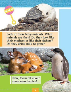 Baby animals. Уровень 1 (1-2 класс).  Книга для чтения с доступом к электронному приложению