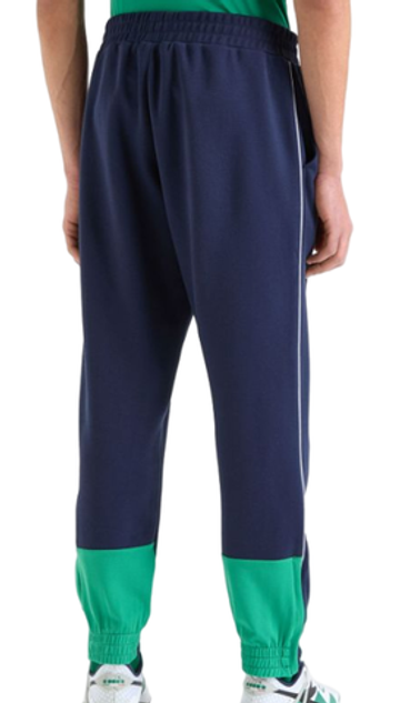 Мужские теннисные штаны Diadora Pants - небесный