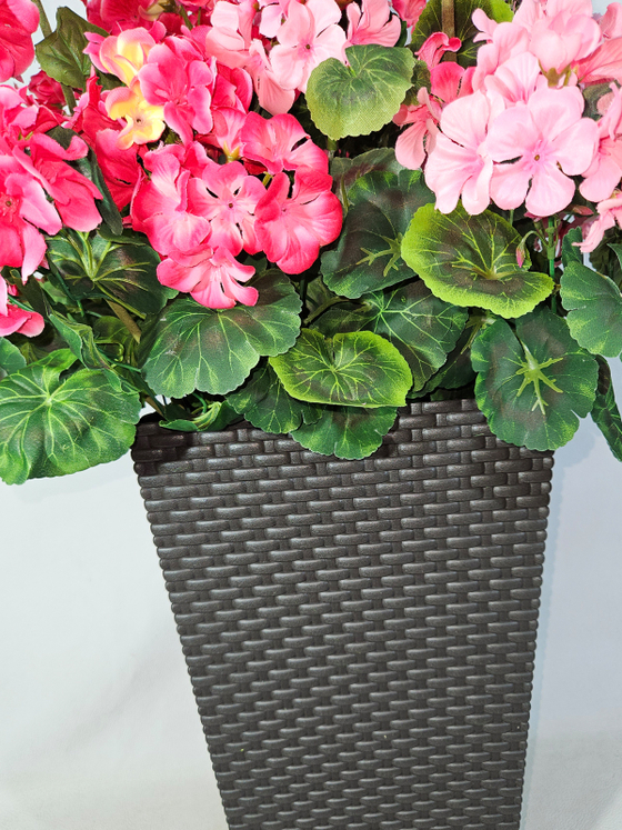 Герань 2 цвета 80см в высоком коричневом кашпо ротанг 51см