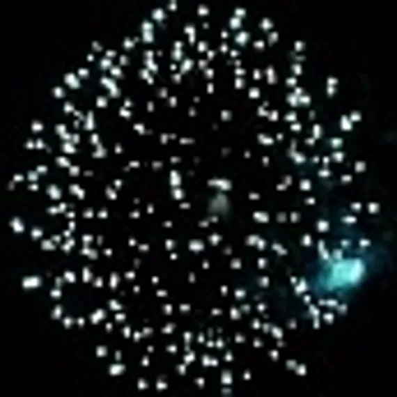 Зимняя сказка 1,2" х 100СС8303