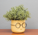 Кашпо СТИВ D115мм 0,65л с дренажной вставкой М3079