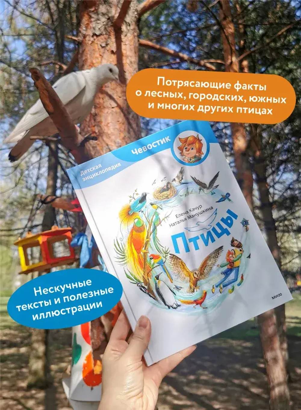 Птицы. Детская энциклопедия (Чевостик)