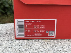 Nike Dunk Low FJ5434-120