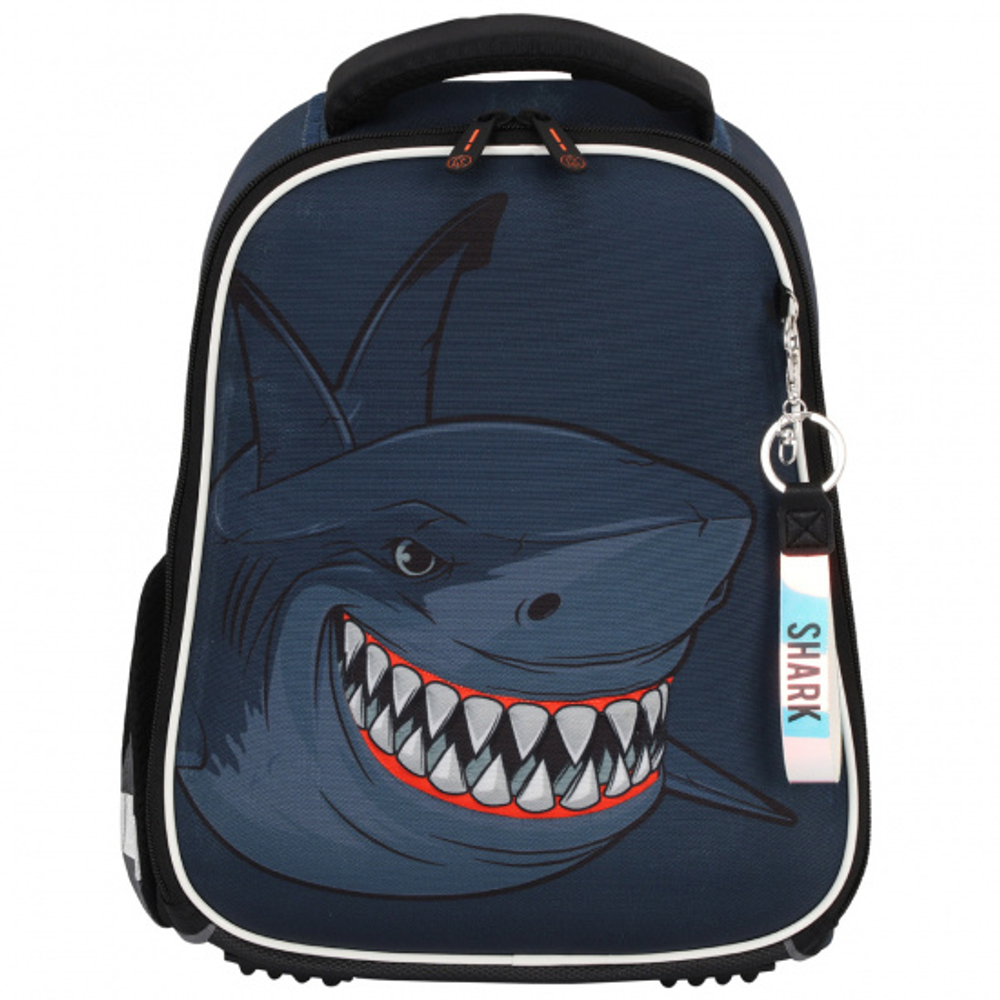 Ранец, спинка эргономичная, 1 отделение, 35*27*13 см, ERGO Light, Shark, КОКОС, 213970