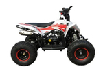 Квадроцикл MOTAX GEKKON 90cc