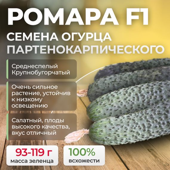 РОМАРА F1 семена огурца (Rijk Zwaan) культура