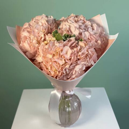 С16672 БУКЕТ ИЗ РОЗОВЫХ ГОРТЕНЗИЙ