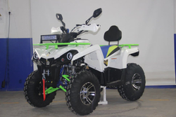 Квадроцикл AVANTIS Forester 200