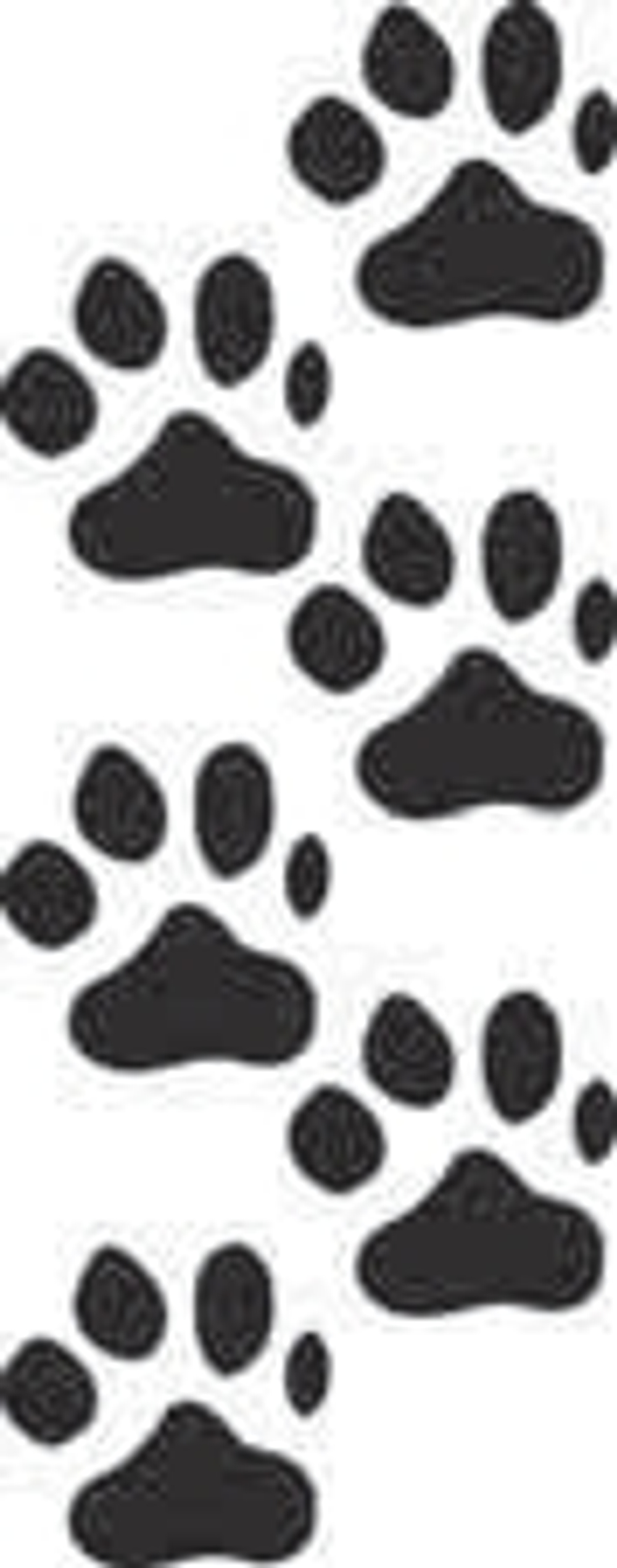 Наклейка "Лапы" 9,5*22,6см лист 06714
