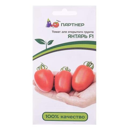 Томат Янтарь