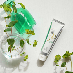 Зубная паста против кариеса с экстра ментолом APAGARD Premio Xtra Mint Premium Type