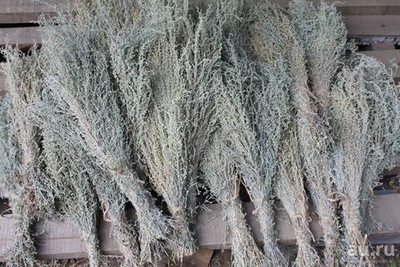 Травяной пучок - Полынь