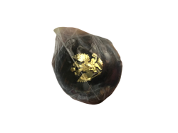 Лентяйка ГЕРБ дерево