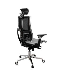 Эргономичное кресло Кресло Yoga Spine Triumph L2 (M06)