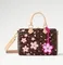Сумка LOUIS VUITTON х TM Speedy 25, коричневый