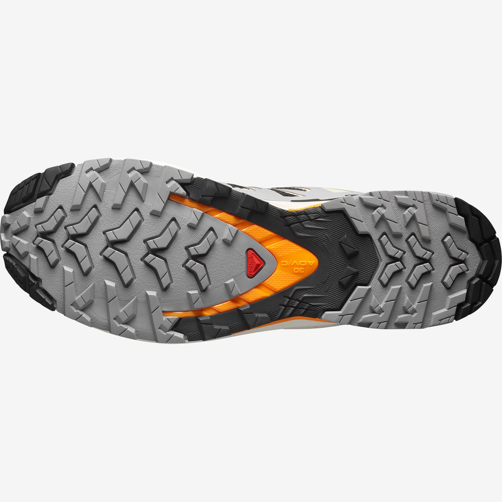 Кроссовки Salomon XA PRO 3D V9 Black/Gull/Turmeric