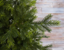 Ель TreeDeLuxe Датская 100% литая 185см зеленая