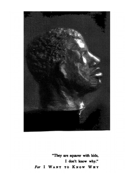 The Triumph of the Egg. A Book of Impressions from American Life in Tales and Poems | Sherwood Anderson