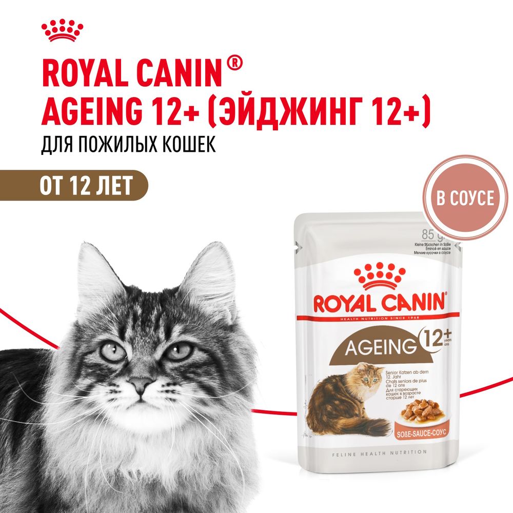 Пауч Royal Canin Ageing +12 для стареющих кошек в возрасте старше 12 лет, мелкие кусочки в cоусе Пауч Royal Canin Ageing +12 для стареющих кошек в возрасте старше 12 лет, мелкие кусочки в cоусе