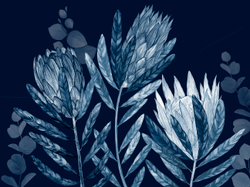 Коллекция HERBARIUM