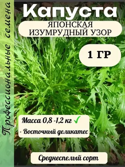 Семена капуста японская Изумрудный узор 1 гр