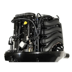 4х-тактный лодочный мотор PARSUN F100FEL-T-EFI