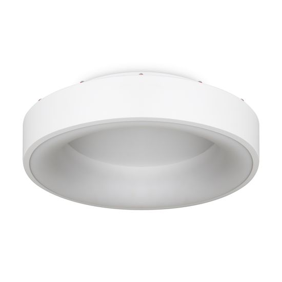 Потолочный светильник Freya FR6118CL-L45W