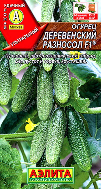 Огурец Деревенский разносол F1 ®       10 сем