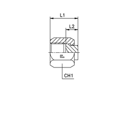 Заглушка V (Г) ORFS 1.11/16