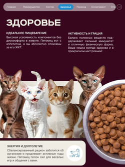 Корм сухой для взрослых стерилизованных кошек породы Канадский сфинкс, полнорационный комплекс, с индейкой, 2 кг, QUATTRO