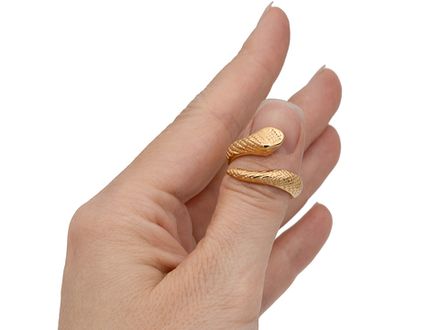 Кольцо "Змейка" 16мм, сталь