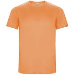 Мужская спортивная футболка Imola с коротким рукавом