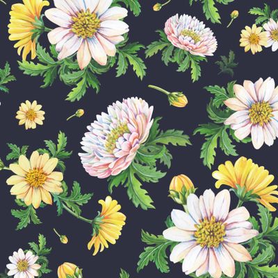 Хризантемы на черном