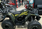 Квадроцикл YAMAHA SHARK 175