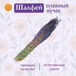 Шалфей пучок.