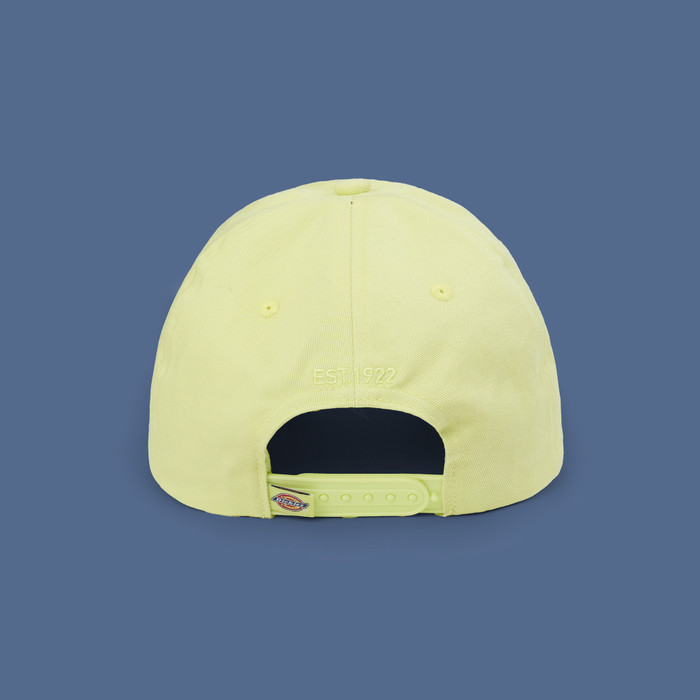 Кепка Dickies Hardwick 6 Panel Logo артикул:DK0A4TKVH141 - купить в магазине Дайс