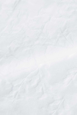 ZARA HOME САЛФЕТКА С ЖАККАРДОВЫМ РИСУНКОМ В ВИДЕ ЛИСТЬЕВ (КОМПЛЕКТ ИЗ 2 ПРЕДМЕТОВ), БЕЛЫЙ