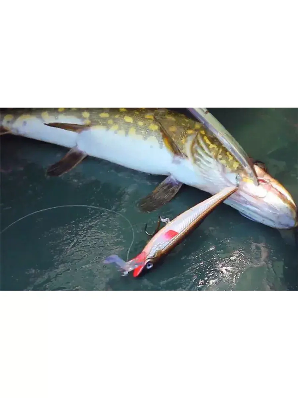 Воблер Стикбейт CRAZY DOG Sinking 100mm,