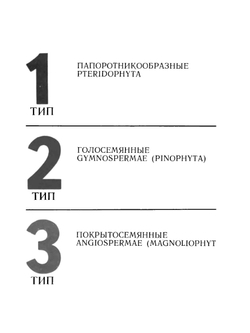 Дикорастущие лекарственные растения СССР | И.И. Гром