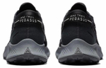 Кроссовки Nike Pegasus Trail 2 (Женская размерная сетка)