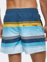 Сине-голубые пляжные шорты в полоску (Размер: 4X) (Цвет: синий)
